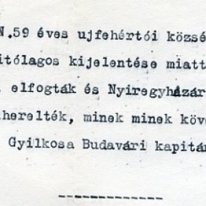 Részlet a A PIH Jogsegítő Irodáján 1920 májusában felvett jegyzőkönyvből (Forrás: MZSL )
